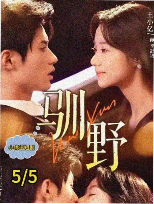 长夜巡线 剧集条目卡